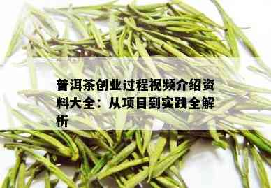 普洱茶创业过程视频介绍资料大全：从项目到实践全解析