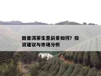 做普洱茶生意前景如何？投资建议与市场分析