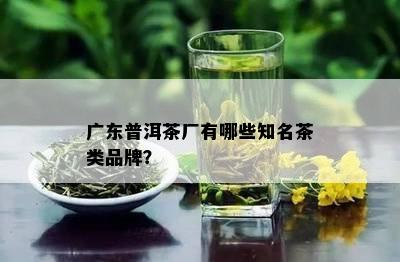 广东普洱茶厂有哪些知名茶类品牌？