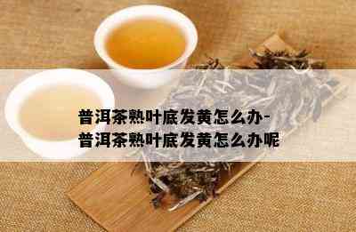 普洱茶熟叶底发黄怎么办-普洱茶熟叶底发黄怎么办呢