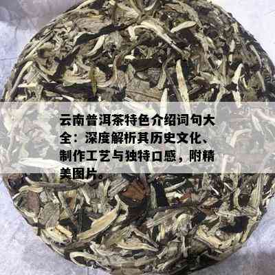 云南普洱茶特色介绍词句大全：深度解析其历史文化、制作工艺与独特口感，附精美图片。