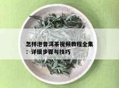 怎样泡普洱茶视频教程全集：详细步骤与技巧