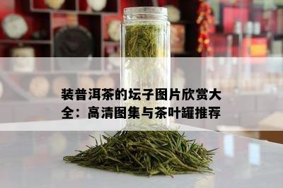 装普洱茶的坛子图片欣赏大全：高清图集与茶叶罐推荐