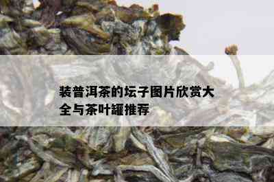 装普洱茶的坛子图片欣赏大全与茶叶罐推荐