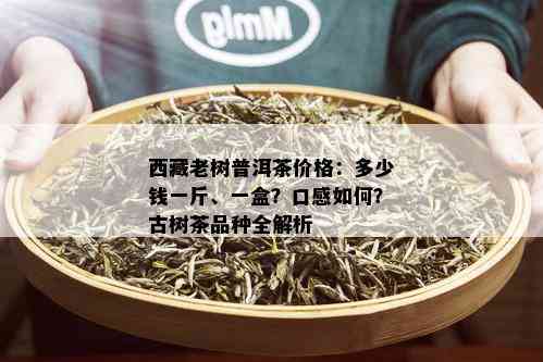  *** 老树普洱茶价格：多少钱一斤、一盒？口感如何？古树茶品种全解析