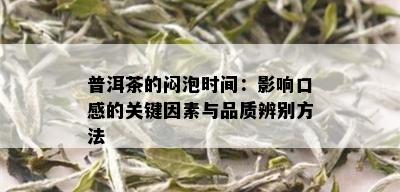 普洱茶的闷泡时间：影响口感的关键因素与品质辨别方法