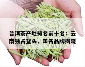 普洱茶产地排名前十名：云南独占鳌头，知名品牌揭晓