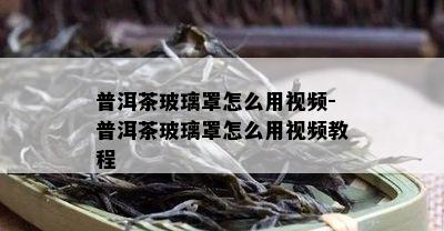 普洱茶玻璃罩怎么用视频-普洱茶玻璃罩怎么用视频教程