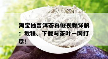 淘宝抽普洱茶真假视频详解：教程、下载与茶叶一网打尽！