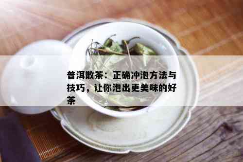 普洱散茶：正确冲泡方法与技巧，让你泡出更美味的好茶