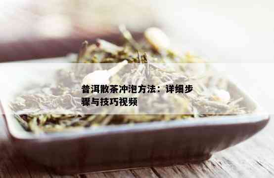 普洱散茶冲泡方法：详细步骤与技巧视频