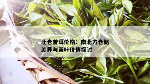 北仓普洱价格：南北方仓储差异与茶叶价值探讨