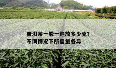 普洱茶一般一泡放多少克？不同情况下所需量各异