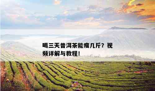 喝三天普洱茶能瘦几斤？视频详解与教程！