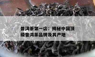 普洱茶之一店：揭秘中国顶级普洱茶品牌及其产地