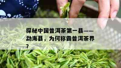 探秘中国普洱茶之一县——勐海县，为何称霸普洱茶界？