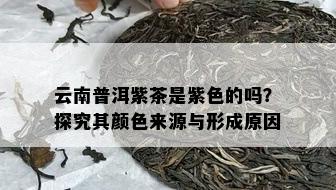 云南普洱紫茶是紫色的吗？探究其颜色来源与形成原因