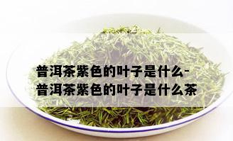 普洱茶紫色的叶子是什么-普洱茶紫色的叶子是什么茶