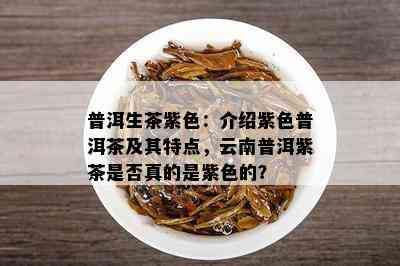 普洱生茶紫色：介绍紫色普洱茶及其特点，云南普洱紫茶是否真的是紫色的？