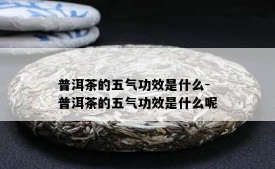 普洱茶的五气功效是什么-普洱茶的五气功效是什么呢