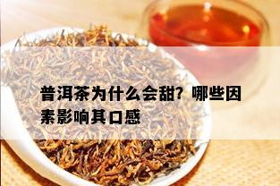 普洱茶为什么会甜？哪些因素影响其口感