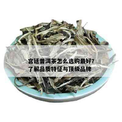 宫廷普洱茶怎么选购更好？了解品质特征与顶级品牌