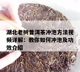 湖北老树普洱茶冲泡方法视频详解：教你如何冲泡及功效介绍