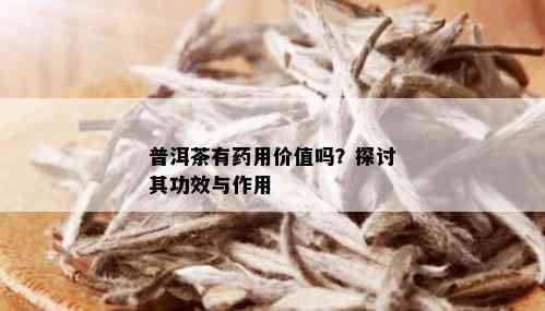 普洱茶有药用价值吗？探讨其功效与作用