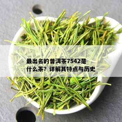 最出名的普洱茶7542是什么茶？详解其特点与历史