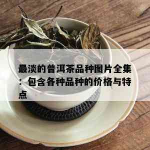 最淡的普洱茶品种图片全集：包含各种品种的价格与特点