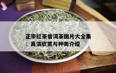 正宗红茶普洱茶图片大全集：高清欣赏与种类介绍