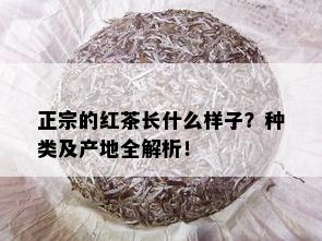 正宗的红茶长什么样子？种类及产地全解析！