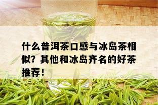 什么普洱茶口感与冰岛茶相似？其他和冰岛齐名的好茶推荐！