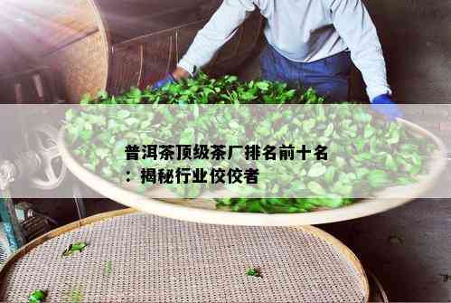 普洱茶顶级茶厂排名前十名：揭秘行业佼佼者