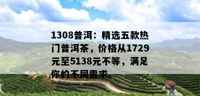 1308普洱：精选五款热门普洱茶，价格从1729元至5138元不等，满足你的不同需求。