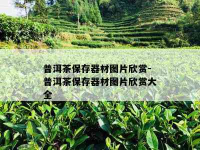 普洱茶保存器材图片欣赏-普洱茶保存器材图片欣赏大全