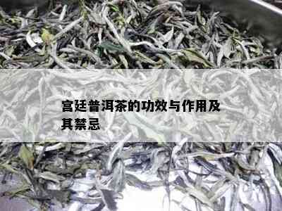 宫廷普洱茶的功效与作用及其禁忌