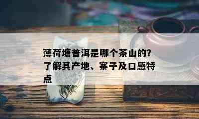 薄荷塘普洱是哪个茶山的？了解其产地、寨子及口感特点