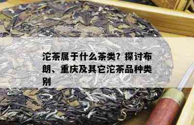 沱茶属于什么茶类？探讨布朗、重庆及其它沱茶品种类别