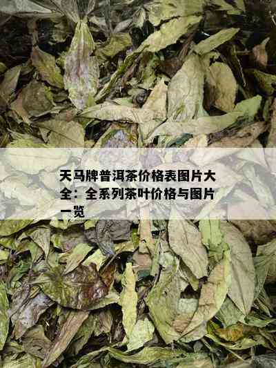 天马牌普洱茶价格表图片大全：全系列茶叶价格与图片一览