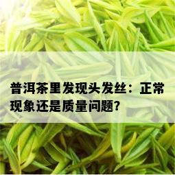 普洱茶里发现头发丝：正常现象还是质量问题？