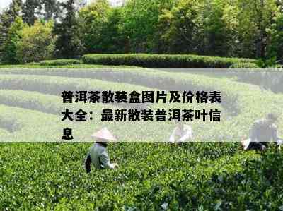 普洱茶散装盒图片及价格表大全：最新散装普洱茶叶信息