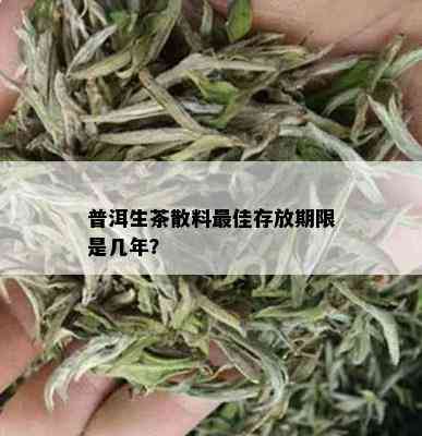 普洱生茶散料更佳存放期限是几年？