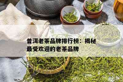 普洱老茶品牌排行榜：揭秘更受欢迎的老茶品牌