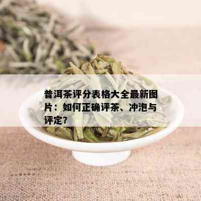 普洱茶评分表格大全最新图片：如何正确评茶、冲泡与评定？