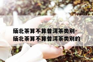 缅北茶算不算普洱茶类别-缅北茶算不算普洱茶类别的