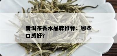 普洱茶香水品牌推荐：哪些口感好？