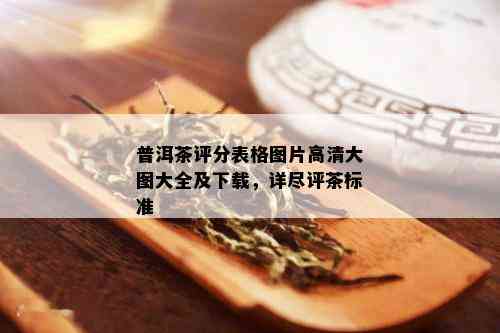 普洱茶评分表格图片高清大图大全及下载，详尽评茶标准