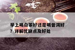 早上喝白茶好还是喝普洱好？详解优缺点及好处