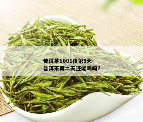 普洱茶1001夜第5天-普洱茶第二天还能喝吗?